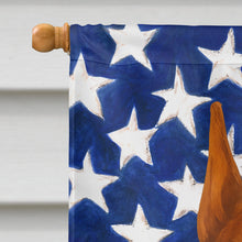 Load image into Gallery viewer, Red Doberman Pinscher American Flag House Flag