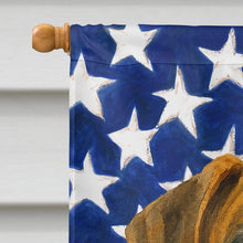Load image into Gallery viewer, Brindle Great Dane American Flag House Flag