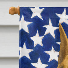 Load image into Gallery viewer, Fawn Great Dane American Flag House Flag