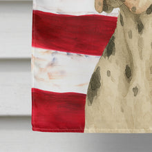 Load image into Gallery viewer, Harlequin Great Dane American Flag House Flag