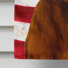 Load image into Gallery viewer, Chocolate Labrador Retriever American Flag House Flag