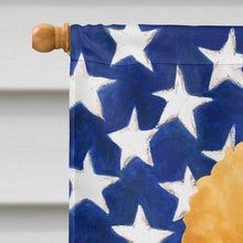 Load image into Gallery viewer, Apricot Miniature Poodle American Flag House Flag