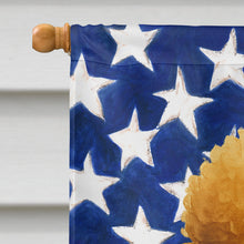 Load image into Gallery viewer, Apricot Standard Poodle American Flag House Flag