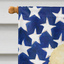 Load image into Gallery viewer, Parti Toy Poodle American Flag House Flag