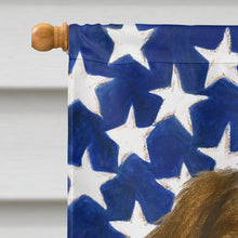 Load image into Gallery viewer, Roan Brittany American Flag House Flag