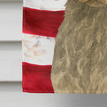 Load image into Gallery viewer, Roan Brittany American Flag House Flag