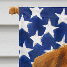 Load image into Gallery viewer, Red Merle American Shepherd American Flag House Flag