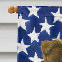 Load image into Gallery viewer, Sable and White Merle Collie American Flag House Flag