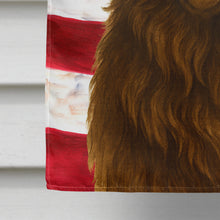 Load image into Gallery viewer, Brown Newfoundland American Flag House Flag