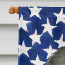 Load image into Gallery viewer, Gray Newfoundland American Flag House Flag