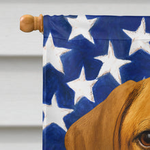 Load image into Gallery viewer, Rhodesian Ridgeback American Flag House Flag