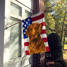 Load image into Gallery viewer, Brown Chesapeake Bay Retriever American Flag House Flag