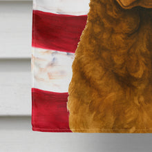 Load image into Gallery viewer, Brown Chesapeake Bay Retriever American Flag House Flag