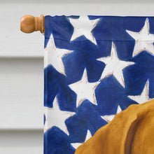 Load image into Gallery viewer, Deadgrass Chesapeake Bay Retriever American Flag House Flag