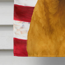 Load image into Gallery viewer, Deadgrass Chesapeake Bay Retriever American Flag House Flag