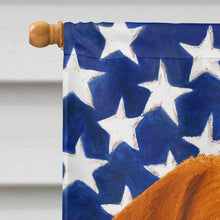 Load image into Gallery viewer, Sedge Chesapeake Bay Retriever American Flag House Flag