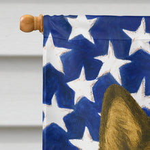 Load image into Gallery viewer, Sable and White Alaskan Malamute American Flag House Flag