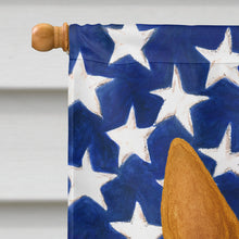 Load image into Gallery viewer, Red and White Bull Terrier American Flag House Flag
