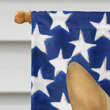 Load image into Gallery viewer, Hairless Chinese Crested American Flag House Flag