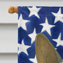 Load image into Gallery viewer, Hairless Slate Gray Chinese Crested American Flag House Flag