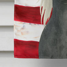 Load image into Gallery viewer, Hairless Slate Gray Chinese Crested American Flag House Flag