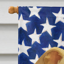 Load image into Gallery viewer, Cream Italian Greyhound American Flag House Flag