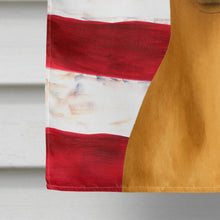 Load image into Gallery viewer, Fawn Italian Greyhound American Flag House Flag