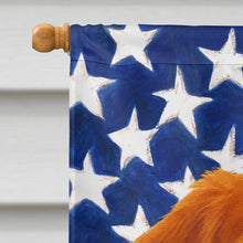 Load image into Gallery viewer, Red Nova Scotia Duck Tolling Retriever American Flag House Flag