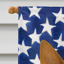 Load image into Gallery viewer, Chocolate and White Rat Terrier American Flag House Flag
