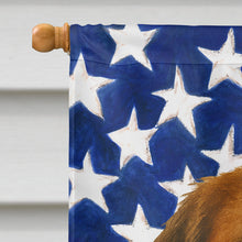 Load image into Gallery viewer, Brown and White Saint Bernard American Flag House Flag