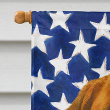 Load image into Gallery viewer, Red and White Saint Bernard American Flag House Flag