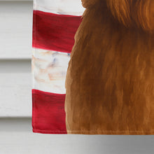 Load image into Gallery viewer, Brown Bearded Collie American Flag House Flag