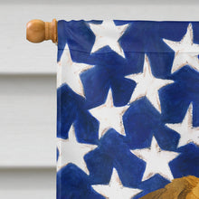 Load image into Gallery viewer, Red Border Terrier American Flag House Flag