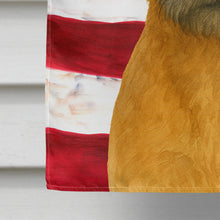 Load image into Gallery viewer, Red Border Terrier American Flag House Flag