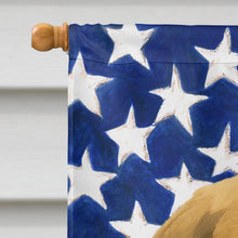 Load image into Gallery viewer, Fawn Bouvier des Flandres American Flag House Flag
