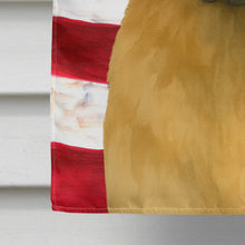 Load image into Gallery viewer, Fawn Bouvier des Flandres American Flag House Flag