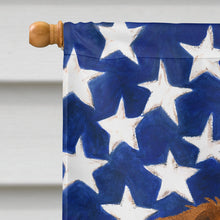 Load image into Gallery viewer, Belge Brussels Griffon American Flag House Flag
