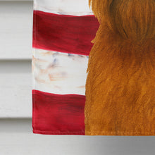 Load image into Gallery viewer, Belge Brussels Griffon American Flag House Flag