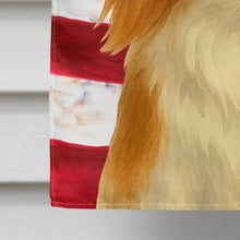 Load image into Gallery viewer, Red and White Japanese Chin American Flag House Flag