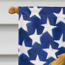 Load image into Gallery viewer, Sandy Leonberger American Flag House Flag