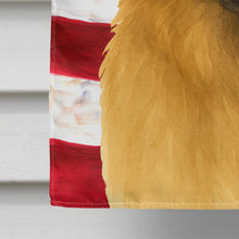Load image into Gallery viewer, Sandy Leonberger American Flag House Flag