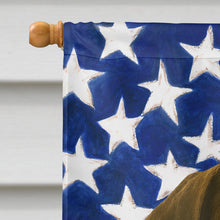 Load image into Gallery viewer, Liver Pointer American Flag House Flag