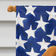 Load image into Gallery viewer, Red Saluki American Flag House Flag