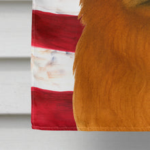 Load image into Gallery viewer, Red Tibetan Spaniel American Flag House Flag
