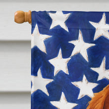 Load image into Gallery viewer, Welsh Springer Spaniel American Flag House Flag