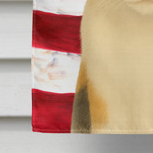 Load image into Gallery viewer, Calico Cat American House Flag