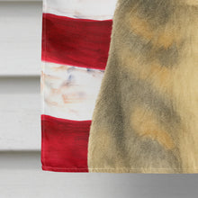 Load image into Gallery viewer, Dilute Tortoiseshell Cat American House Flag