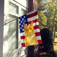 Load image into Gallery viewer, Orange and White Cat American House Flag