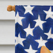 Load image into Gallery viewer, Orange and White Cat American House Flag