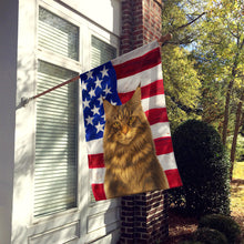 Load image into Gallery viewer, MainCoon Brown Tabby Cat American House Flag
